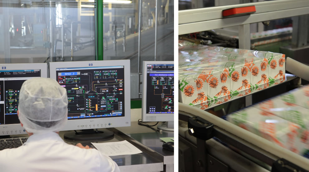 Industrial production of yeast