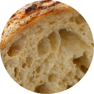 Origin and History of yeast