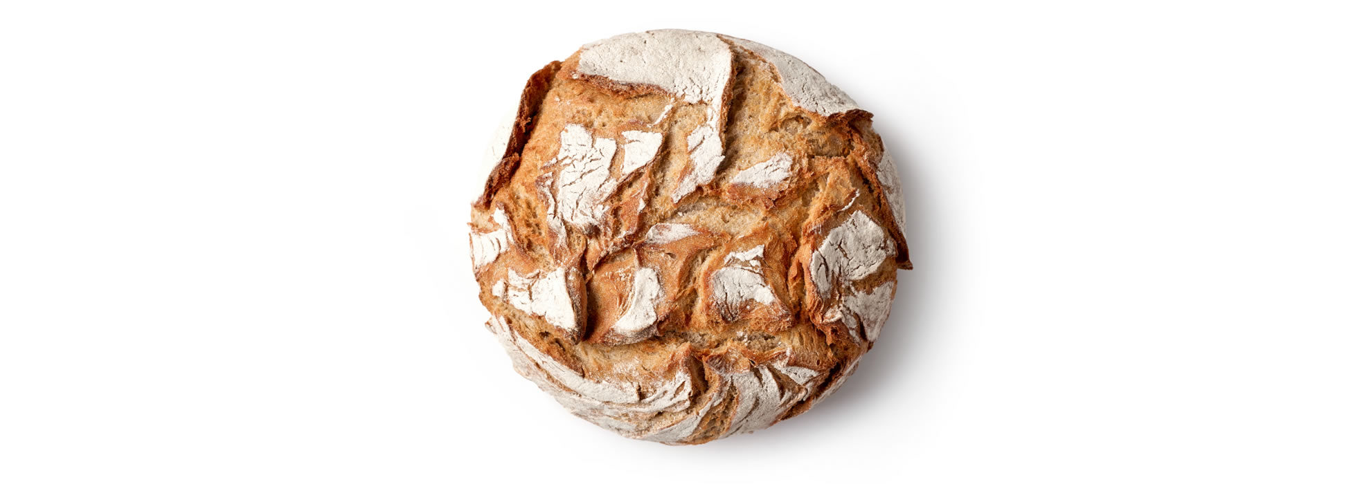 yeast for breadmaking